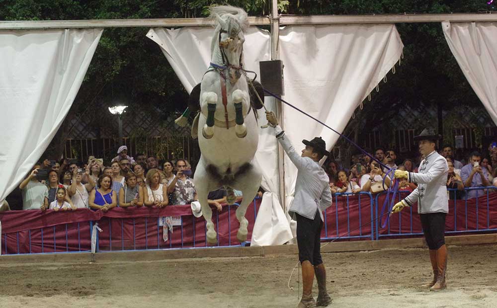 Exhibición ecuestre-Feria de Málaga