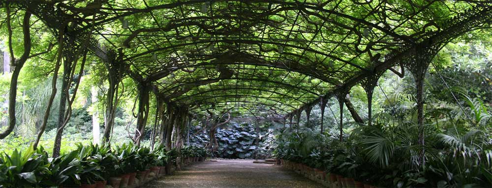 Jardín Botánico La Concepción-Malaka Turismo