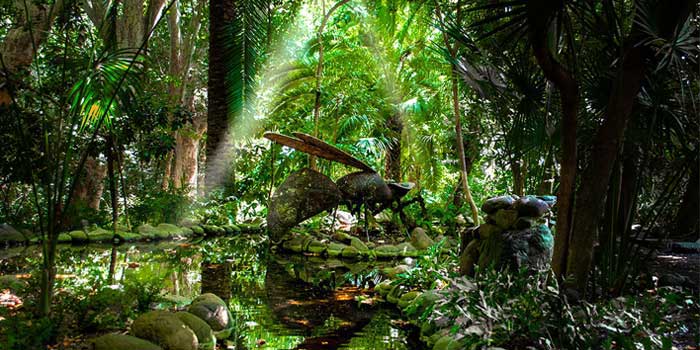 Concepción Botanical Garden, a natural treasure